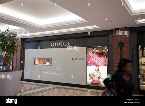 gucci africa
